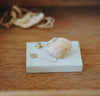 Uqui - Handmade Sea Shell Brooches with Kintsugi Joints