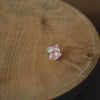Uqui - Handmade Sea Shell Pierced and Clip-on Earrings