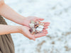 Uqui - Handmade Sea Shell Brooches with Kintsugi Joints