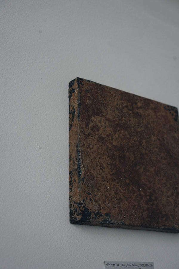 Emi Suzuki - Soil Artwork TNKR511132324