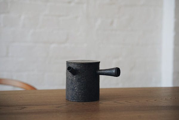 Takashi Endoh - Japanese Tea Pot