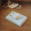 Uqui - Handmade Sea Shell Brooches with Kintsugi Joints