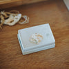 Uqui - Handmade Sea Shell Brooches with Kintsugi Joints