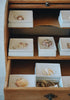 Uqui - Handmade Sea Shell Brooches with Kintsugi Joints