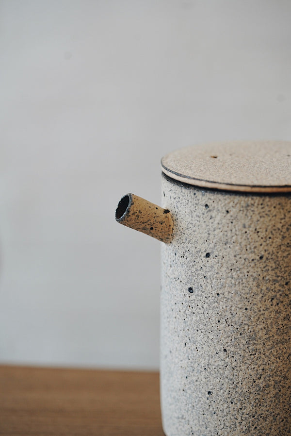 Takashi Endoh - Tea Pot/Coffee Pot