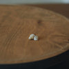 Uqui - Handmade Sea Shell Pierced and Clip-on Earrings
