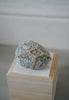 WARA - Sekimori Stones
