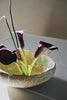 Akari Karugane - Ikebana large bowl/vessel (LAST ONE)