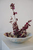 Akari Karugane - Ikebana large bowl/vessel (LAST ONE)