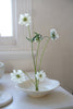 Akari Karugane - Glazed Shallow Plate (LAST ONE)