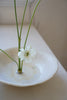 Akari Karugane - Glazed Shallow Plate (LAST ONE)