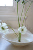 Akari Karugane - Glazed Shallow Plate (LAST ONE)