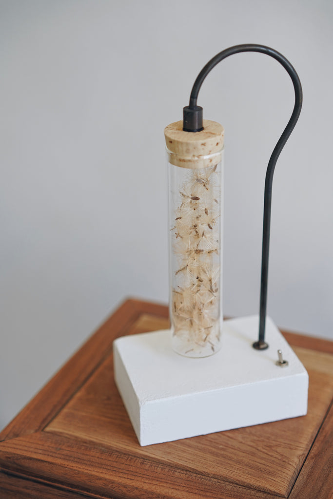 Hisayuki Nishibeppu - Handmade Botanical Lamps