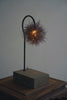 Hisayuki Nishibeppu - Handmade Botanical Lamps