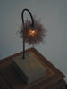 Hisayuki Nishibeppu - Handmade Botanical Lamps