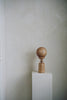 Takehito Ichikawa - Mokusei Wooden Object (LAST ONE)