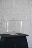 Floresta Fabrica - Glass Cake Stand and Cloche (LAST ONE)