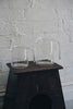 Floresta Fabrica - Glass Jugs