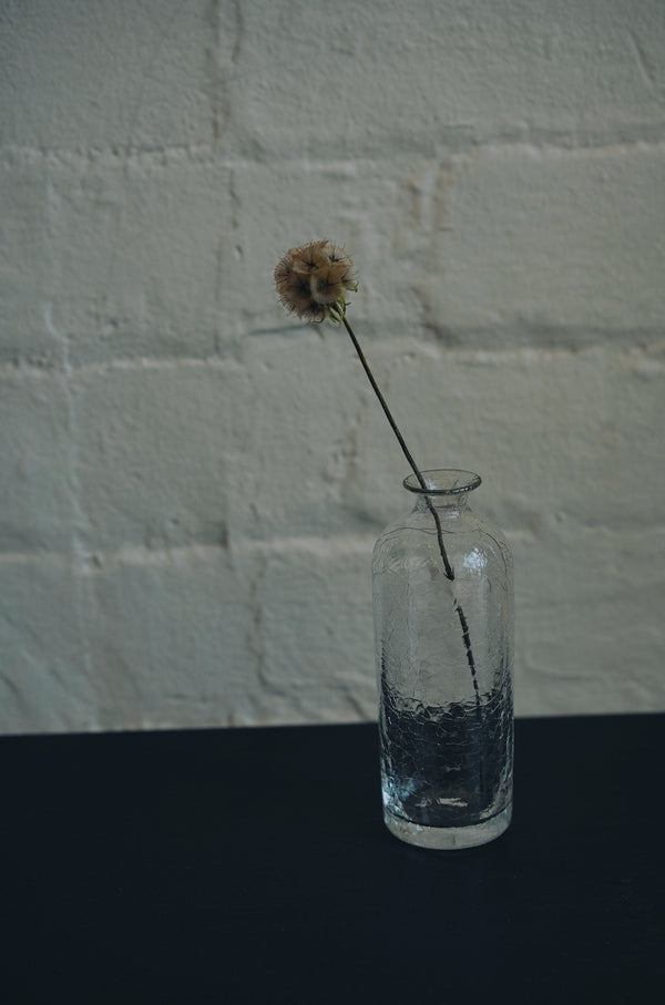 Daisaku Hashimura - CRACK Ichirin-zashi Vase Clear