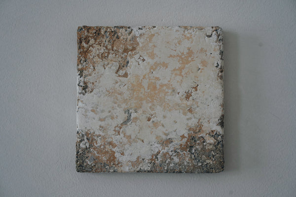 Emi Suzuki - Soil Artwork "TNM+OJTR511212250"