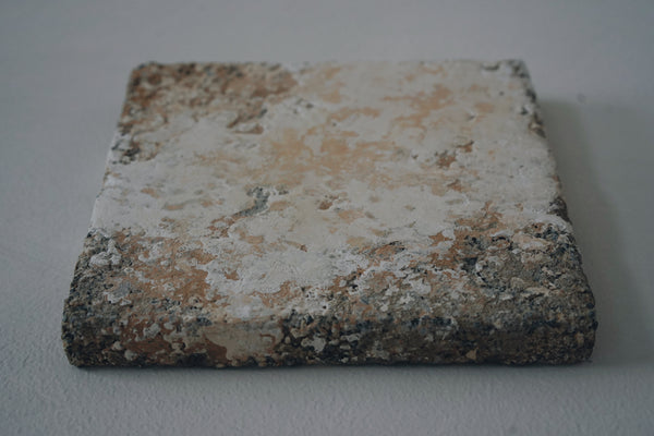 Emi Suzuki - Soil Artwork "TNM+OJTR511212250"