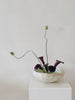 Akari Karugane - Ikebana large bowl/vessel (LAST ONE)