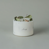 Sheep Design - Handmade Botanical Soy Candles (LAST ONE)