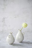 Aya Ogawa - Cat's Tail Vase