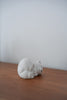 Mio Suzuki - Polar Bear Wooden Object (Curling up)