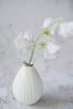 Aya Ogawa - Flower Bud Vase White Lily