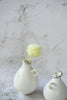 Aya Ogawa - Cat's Tail Vase