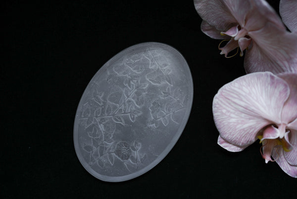 Sonoko Matsuda - Hyoban Camellia