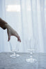 Floresta Fabrica - Tamaashi Glasses