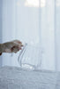 Floresta Fabrica - Glass Jugs
