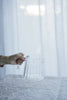 Floresta Fabrica - Glass Jugs