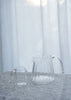 Floresta Fabrica - Glass Jugs