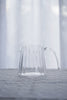 Floresta Fabrica - Glass Jugs