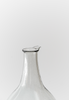 Kenichi Sasakawa - Crane Necked Sake Jug