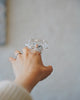 Haruna Sugie - HIFU Glass Rings