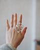 Haruna Sugie - SHIBOU Glass Rings