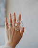 Haruna Sugie - HIFU Glass Rings