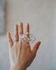 Haruna Sugie - HIFU Glass Rings