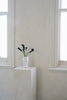 Manami Naoi - Vase B (27)