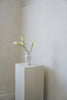 Manami Naoi - Vase C (28)