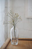 Daisaku Hashimura - CRACK Ichirin-zashi Vase Clear (NEW)