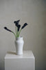 Manami Naoi - Vase B (27)