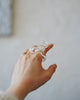 Haruna Sugie - HIFU Glass Rings