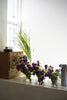 byAzumi - Ikebana Workshop on 24 August 2025