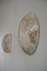 Akari Karugane - Ceramic Wall Hanging Object/Artwork