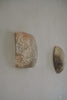 Akari Karugane - Ceramic Wall Hanging Object/Artwork